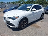 ZASPAKBN9L7****** Usados y Reparables 2020 Alfa Romeo Stelvio en Long Island
