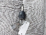 4T1BF1FK3DU****** Salvamento 2013 Toyota Camry en Estado de Rhode Island
