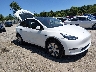 7SAYGAEE5PF****** Salvage and Wrecked 2023 Tesla Model Y in Electric Vehicle Auctions