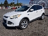 1FMCU0GX0EU****** Used and Repairable 2014 Ford Escape in Los Angeles