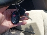 5TDBK3EH5CS****** Salvage 2012 Toyota Highlander in Maryland State