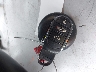 WMWLN9C56G2****** Salvage 2016 MINI Clubman in Florida State