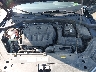 1VWSA7A33MC****** Repairable 2021 Volkswagen Passat in Appleton