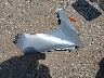 5NPEC4AC9BH****** Wrecked 2011 Hyundai Sonata in Texas State