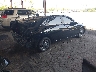 KMHLM4DG0RU****** Salvamento y Destrozados 2024 Hyundai Elantra en Estado de Florida