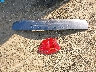 2C4RDGCG7JR****** Wrecked 2018 Dodge Grand Caravan in Ohio State