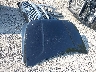 5NMS3DAJ5MH****** Reparables 2021 Hyundai Santa Fe