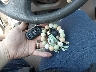 2T1BR32E78C****** Salvage 2008 Toyota Corolla in Indiana State