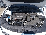5XXGT4L37LG****** Reparables 2020 Kia Optima en Raleigh