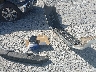 3VW2K7AJ9FM****** Wrecked 2015 Volkswagen Jetta in Florida State