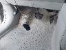 2T2ZK1BA3BC****** Salvage 2011 Lexus RX 350 in Georgia State