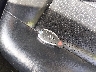 WDDHF5KBXEA****** Salvage 2014 Mercedes-Benz E 350 in Louisiana State