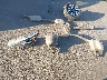 1N4BL4CV3KC****** Wrecked 2019 Nissan Altima in Arizona State