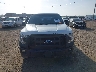 1FTFX1EF3HF****** Destrozados 2017 Ford F-150 en Estado de Texas