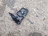 1FTFW1EF1CF****** Wrecked 2012 Ford F-150 in Mississippi State