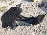 5XXGM4A74EG****** Wrecked 2014 Kia Optima in Indiana State