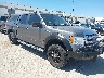 1FTFW1EF3DK****** Salvamento y Destrozados 2013 Ford F-150 en Fort Worth North