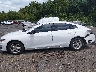 1G1ZC5ST2PF****** Salvage 2023 Chevrolet Malibu