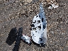 1G1ZC5ST2PF****** Wrecked 2023 Chevrolet Malibu in Mississippi State