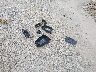 1GCPYFED8MZ****** Wrecked 2021 Chevrolet Silverado 1500 in Ohio State
