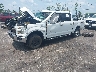 1FTEW1EP6GF****** Usados y Reparables 2016 Ford F-150 en Jacksonville