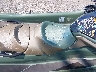 YDVA381***** Used and Repairable 2022 Sea-Doo Rxt-300 in New York State