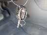 1FADP3F27DL****** Salvamento 2013 Ford Focus en Estado de Arizona