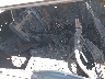 KNDJN2A24G7****** Wrecked 2016 Kia Soul in Oklahoma City