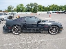 1ZVBP8CF0B5****** Repairable 2011 Ford Mustang in Tennessee State