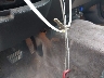 1GTDS13E978****** Salvage 2007 GMC Canyon in Texas State