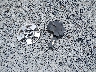 1B3HB28B87D****** Wrecked 2007 Dodge Caliber in South Carolina State