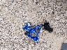 NMTKHMBX2MR****** Wrecked 2021 Toyota C-HR in Tennessee State