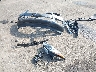 5N1AL0MM6GC****** Wrecked 2016 Infiniti QX60 in Ohio State