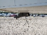 4YDF38121DR****** Repairable 2013 Keystone Raptor in Gulf Coast