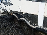 4YDF38121DR****** Salvage and Repairable 2013 Keystone Raptor in Mississippi State
