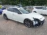 1N4AL4CV8RN****** Salvamento y Destrozados 2024 Nissan Altima en Long Island