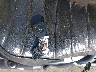 1HD4LE215LB****** Salvage 2020 Harley-Davidson Iron 883 in New York State