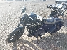 1HD4LE215LB****** Used 2020 Harley-Davidson Iron 883 in Rec Rides Online Exclusive