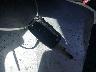 KNADM4A30E6****** Salvage 2014 Kia Rio in California State