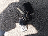5FNRL38749B****** Salvamento 2009 Honda Odyssey en Estado de Iowa