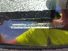 1FMCU0D78CK****** Used 2012 Ford Escape