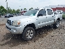 5TELU42N98Z****** Used and Repairable 2008 Toyota Tacoma in Culpeper