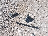 JF2SKAPC9KH****** Wrecked 2019 Subaru Forester in Oklahoma State