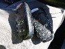 1C4PJMLX5KD****** Salvamento 2019 Jeep Cherokee en Estado de Virginia Occidental