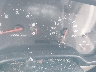 1J4FA69S74P****** Salvamento 2004 Jeep Wrangler en Asheville