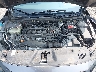 19XFC1F36KE****** Reparables 2019 Honda Civic en Rochester