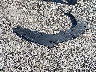 5GAKRBKD0FJ****** Wrecked 2015 Buick Enclave in Ohio State