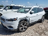 1C4PJLDB3KD****** Usados y Reparables 2019 Jeep Cherokee en San Antonio South