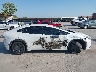 JTDACAAU3P3****** Used 2023 Toyota Prius in Texas State