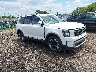 5XYP64GC1PG****** Salvage and Wrecked 2023 Kia Telluride in Columbus
